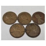 1909 VDB Wheat Pennies