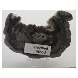 Petrified Wood Specimen