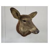 Taxidermy Doe on Trophy Mount