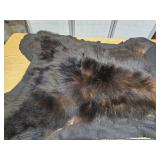 Nice  Real BEAR HIDE  Rug  42' x 42'