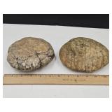 2 Geodes SEE SIZES