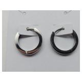 Titanium Hoop Earrings