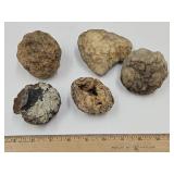 Lot of Small Geodes SEE SIZES