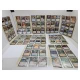 Magic The Gathering Card Lot