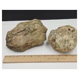 2 Geode Rocks SEE SIZES