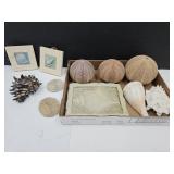 Seashells , Sea Urchin Pomanders +