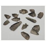 Arrow Head Lot