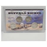 Buffalo Nickel In Display