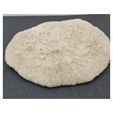 Large Mushroom Coral 10"W