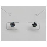 Anodized Stainless Steel Black Screw Back Earrings