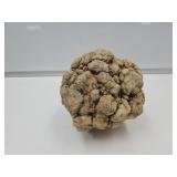 GEODE unsplit 6-7" Wide