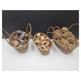 Bael Tree Pods, Badam Pods & Dried Jackfruit