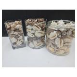 Large Lot Of Very Nice Sea Shells See Size