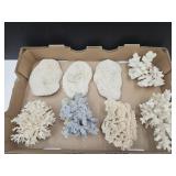 Lot Of Mushroom Coral & More See Size