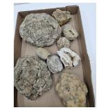 Lg Lot of Geodes, up to 8"W