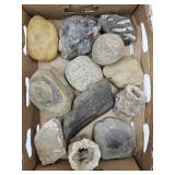 Lot of Cool Rocks & Small Geodes