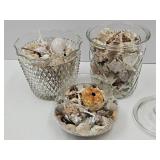3 Glass Vases W Nice Sea Shells Up To 7" H
