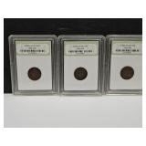 3 Indian Head Penny Coins, See Dates