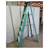 Werner 6Ft Ladder