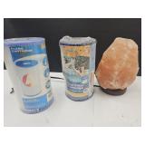 2 Pool Filters 1 Salt Block Light- Works
