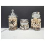 Lot of Nice Seashells in Jars up to 8"H