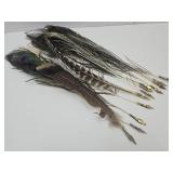 14 Feather Writing  Quill Pens Mostly Peacock