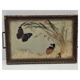 Victorian Antique Pressed Butterfly Tray