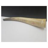 19" Long Bull Horn