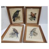 Set 4 Framed Wall Decor 14" x 17"L