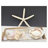 Beautiful Seashell Lot,  (Resin? Star Fish) +