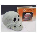 Glow in the Dark Skull Head w Box