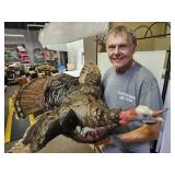 Turkey Taxidermy