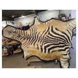 Beautiful Large Zebra Skin Over 9 Ft Long