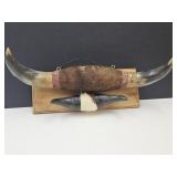 2 Sets OF Buffalo Horns 12.5" & 25" Long