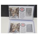 20 Grains Fractional EMG Silver