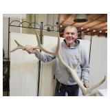 LARGE 40" ELK  Antler, See Pics