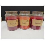 2 Cinnamon & 1 Pumpkin Scented Candles