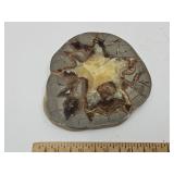 Polished Geode 5"