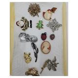 Jewelry Lot; Brooches, Cameo, Strawberries, Rhine+