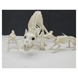 New Cat 20" & Rats 16" Skeletons