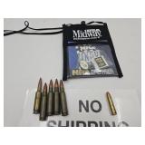 Gun Ammo- See Maker