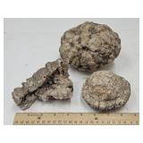 3 Geodes See Szies