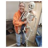 Full Size Halloween Skeleton-Heavy Duty
