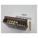 308 WIN 10 RDS Gun Ammo