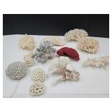 Lot Of Ocean Coral; Mushroom, Brain, Lettuce +