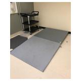 Floor Scale Floor Scale