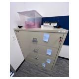 FireKing  Fireproof Filing Cabinet