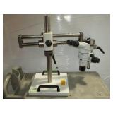 Stereo Microscope