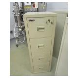 (3) Fireproof File Cabinets