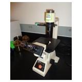 Olympus Microscope